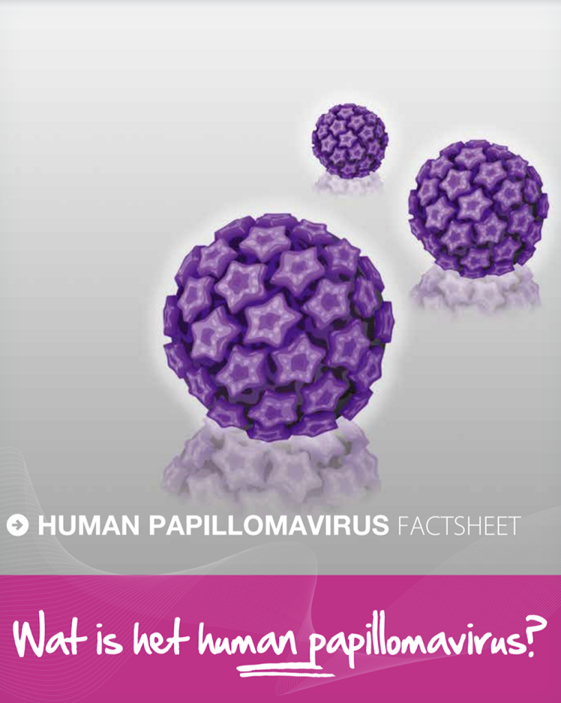 HPV brochure